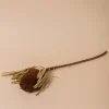 Shoppe At The Avenue Home Decor|Florals & Greenery>Banksia Brown Flower Stem