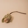 Shoppe At The Avenue Home Decor|Florals & Greenery>Banksia Natural Flower Stem