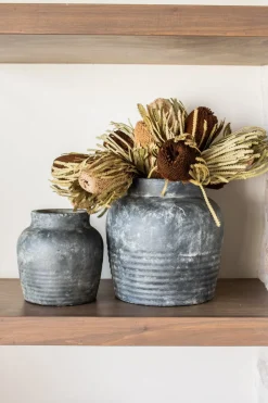 Shoppe At The Avenue Home Decor|Florals & Greenery>Banksia Natural Flower Stem