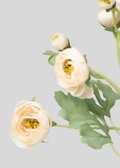 Afloral.com Florals & Greenery><noscript><img width=