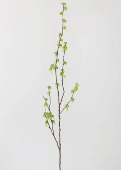 Afloral.com Florals & Greenery>Branch with Green Buds