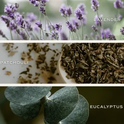 Sweet Water Decor Reed Diffusers|Reed Diffusers><noscript><img width=