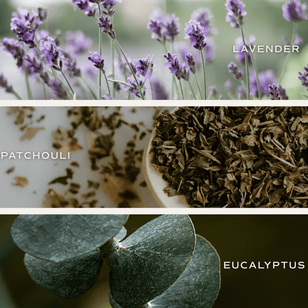 Sweet Water Decor Reed Diffusers|Reed Diffusers>Calm and Comfort