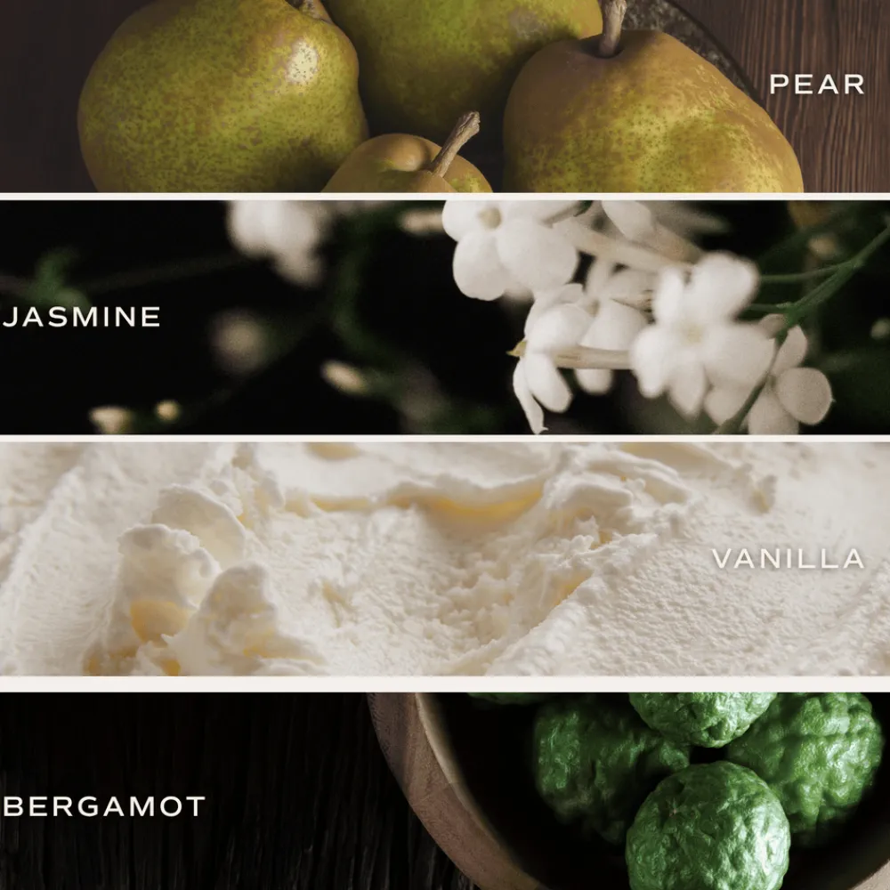 Sweet Water Decor Reed Diffusers|Reed Diffusers>Cashmere and Vanilla