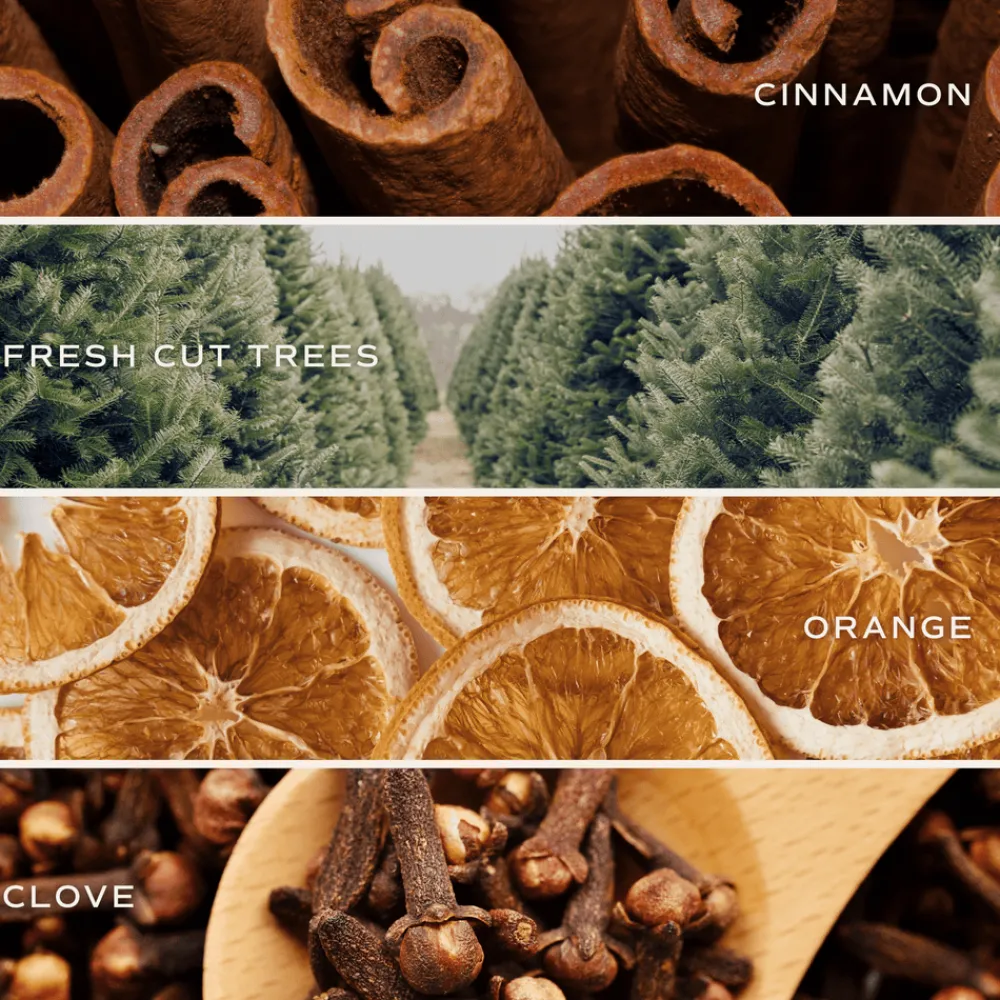 Sweet Water Decor Reed Diffusers|Reed Diffusers>Christmas