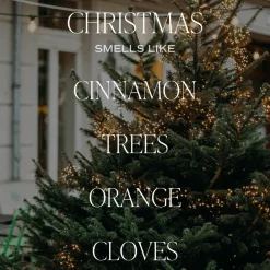 Sweet Water Decor Candles><noscript><img width=