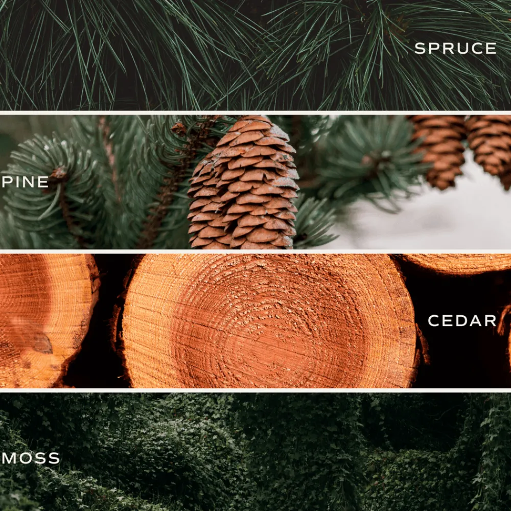 Sweet Water Decor Candles|9 Oz Clear Jars>Christmas Tree - 9 oz