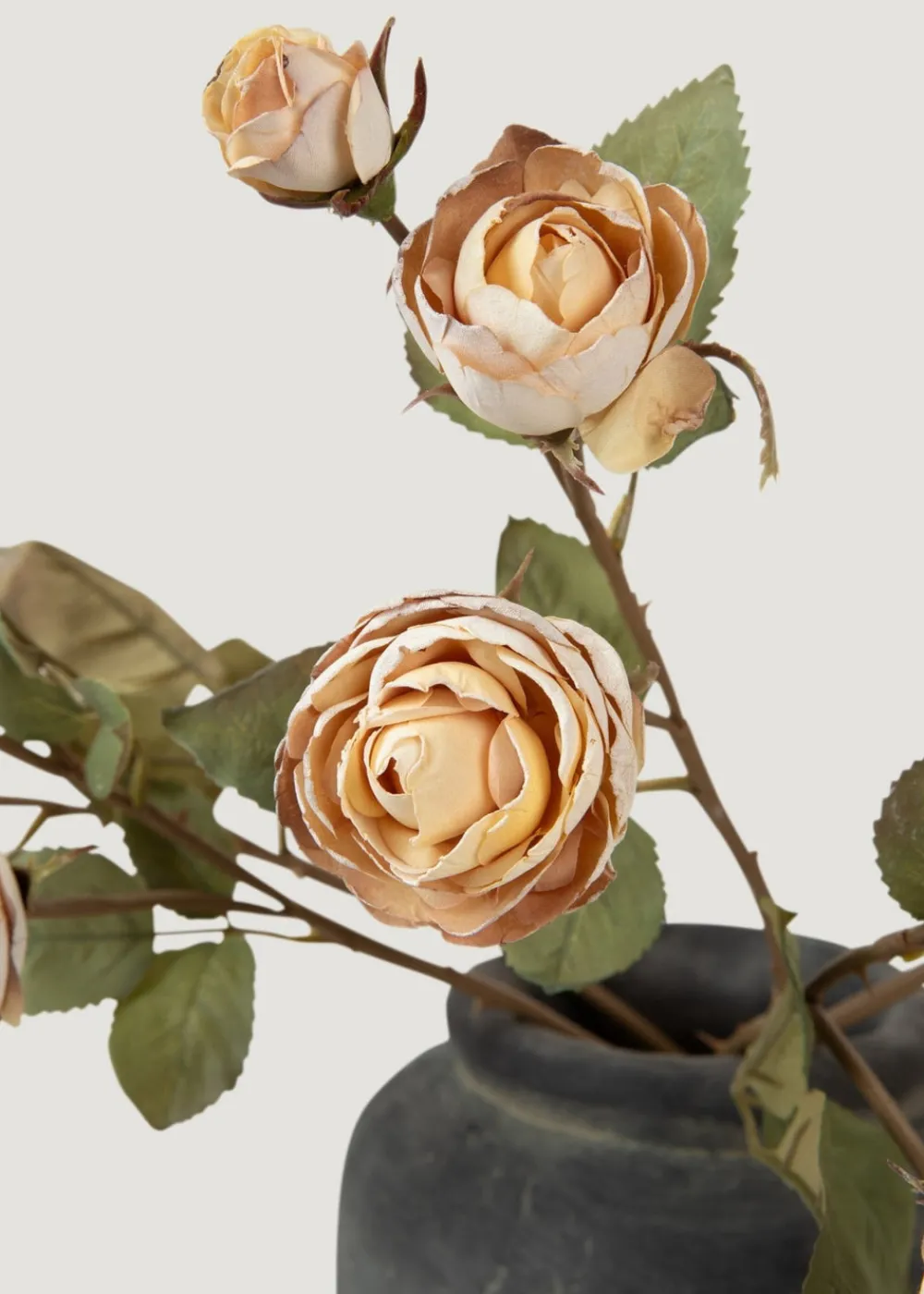 Afloral.com Florals & Greenery>Dried Look Fake Roses in Beige