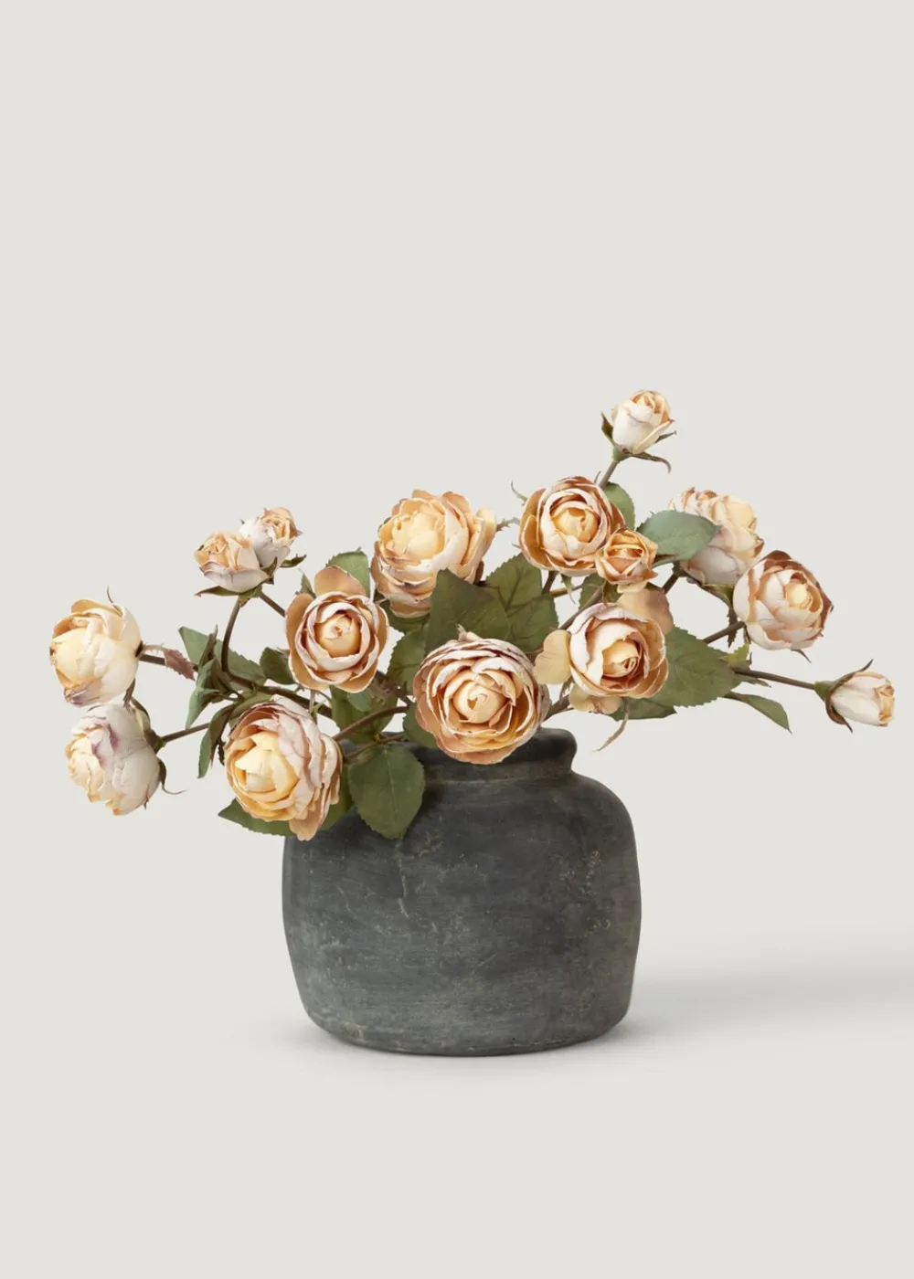 Afloral.com Florals & Greenery>Dried Look Fake Roses in Beige