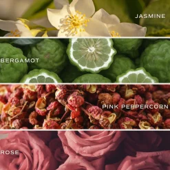 Sweet Water Decor Candles|15 Oz Matte Jars><noscript><img width=