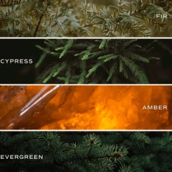 Sweet Water Decor Candles|12 Oz Tinted Jars><noscript><img width=