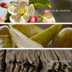 Sweet Water Decor Candles|Patterned Candles><noscript><img width=