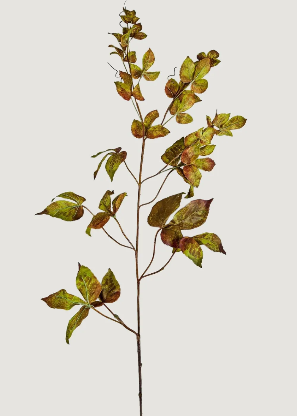 Afloral.com Florals & Greenery>Grape Ivy Garland Stem in Green Eggplant