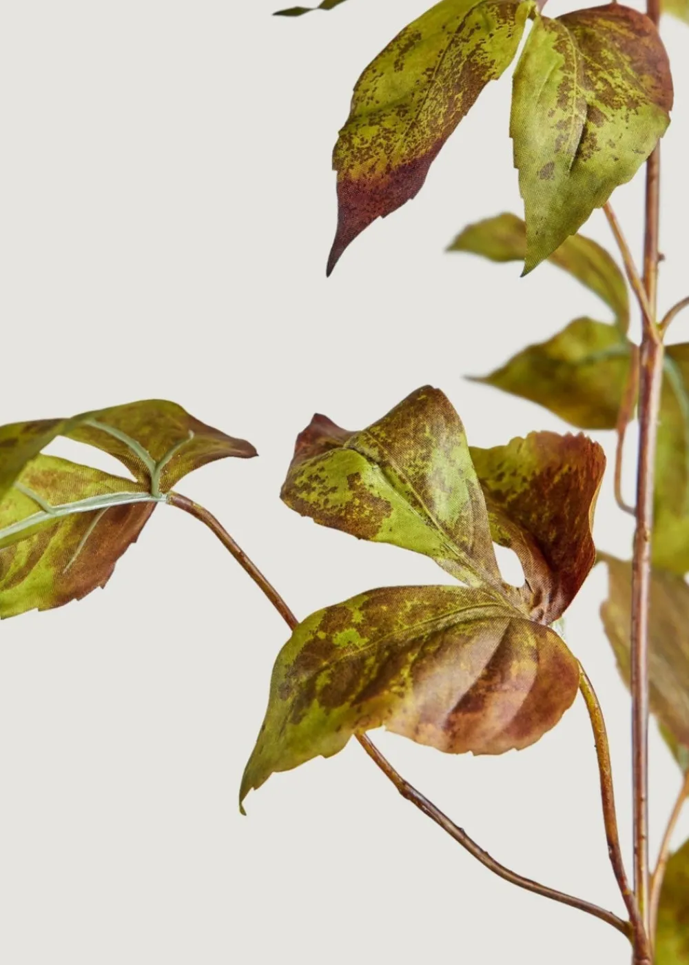 Afloral.com Florals & Greenery>Grape Ivy Garland Stem in Green Eggplant