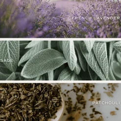 Sweet Water Decor 12 Oz Tinted Jars|Candles><noscript><img width=