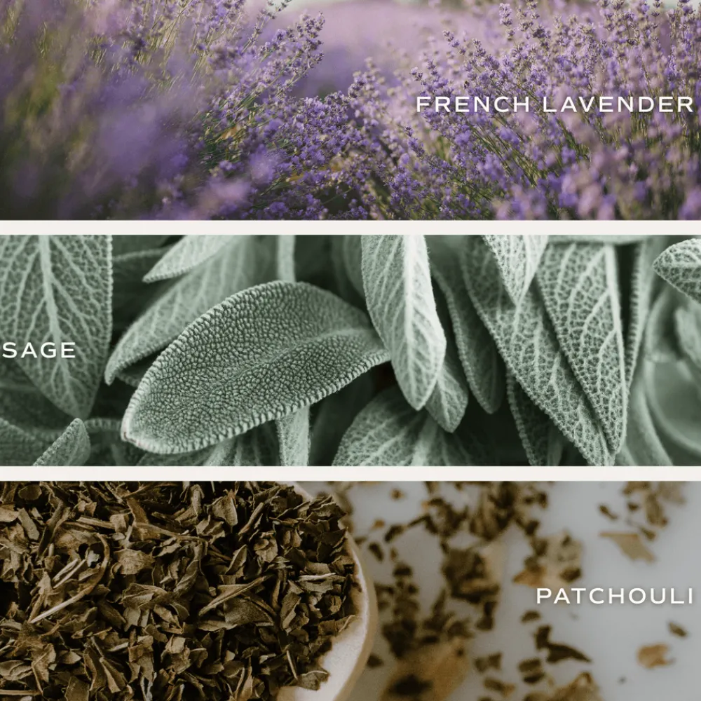 Sweet Water Decor 12 Oz Tinted Jars|Candles>Green Floral - 12 oz