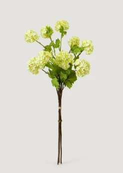 Afloral.com Florals & Greenery>Honeydew Green Snowball Flower Bundle