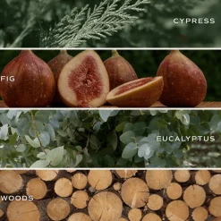 Sweet Water Decor Candles|15 Oz Matte Jars><noscript><img width=