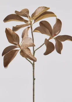 Afloral.com Home Decor|Florals & Greenery>Magnolia Leaf Branch