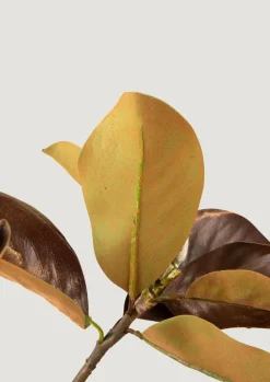 Afloral.com Home Decor|Florals & Greenery><noscript><img width=