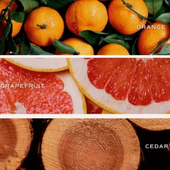 Sweet Water Decor Candles|12 Oz Tinted Jars><noscript><img width=