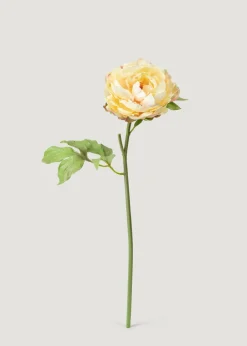 Afloral.com Florals & Greenery>Real Touch Peony in Pale Yellow