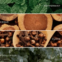 Sweet Water Decor Candles><noscript><img width=