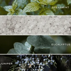 Sweet Water Decor Bath Bombs><noscript><img width=