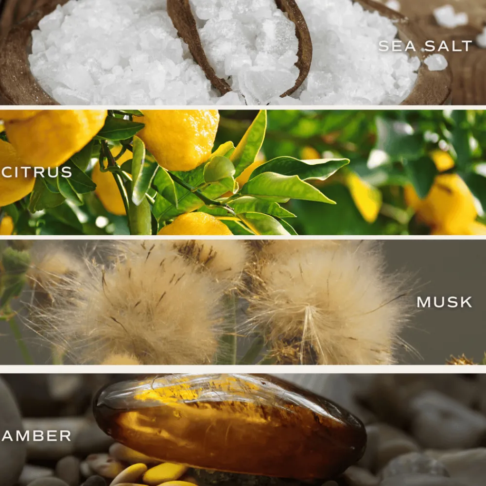 Sweet Water Decor Reed Diffusers|Reed Diffusers>Salt and Sea