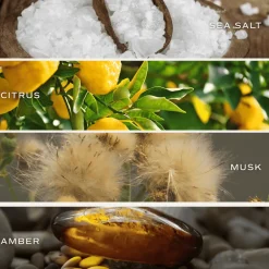 Sweet Water Decor Reed Diffusers|Reed Diffusers><noscript><img width=