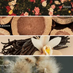 Sweet Water Decor Reed Diffusers|Reed Diffusers><noscript><img width=