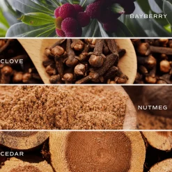 Sweet Water Decor Candles|15 Oz Matte Jars><noscript><img width=