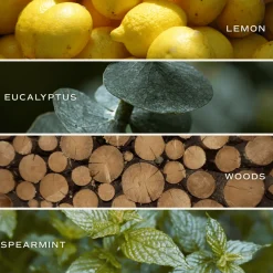 Sweet Water Decor Reed Diffusers|Reed Diffusers><noscript><img width=