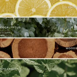 Sweet Water Decor Candles|11 Oz White Jars><noscript><img width=