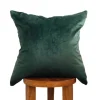 Busa Designs Pillows>VELVET PILLOW COVER