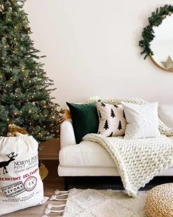 Busa Designs Pillows>VELVET PILLOW COVER