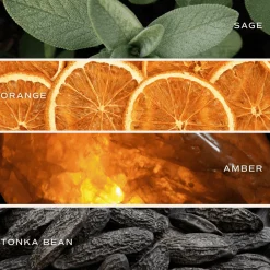 Sweet Water Decor Candles|11 Oz White Jars><noscript><img width=